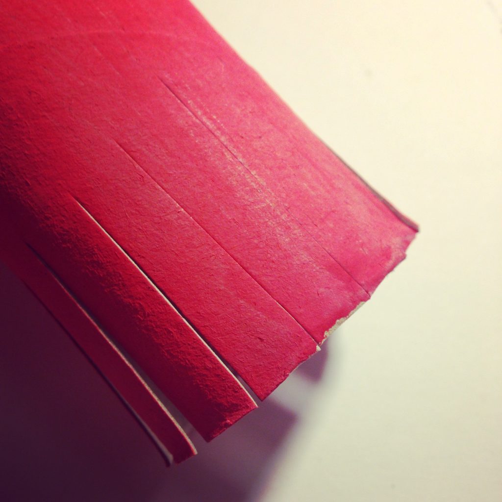 Paint the toilet paper tubes and once dry cut regular slits to around 1/3 of the length.