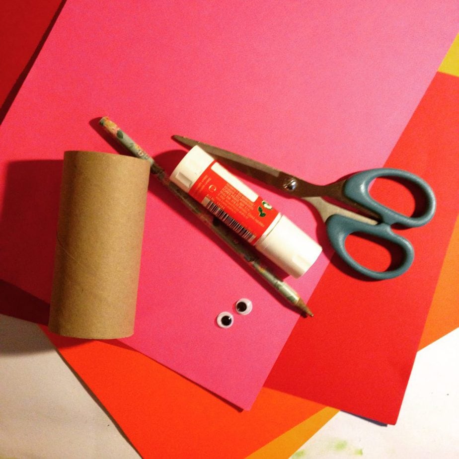You will need scissors, glue, googly eyes, card and a toilet paper roll.